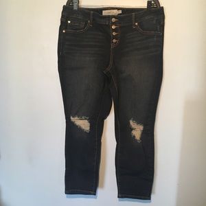 Torrid Jeans
